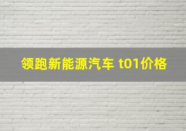 领跑新能源汽车 t01价格